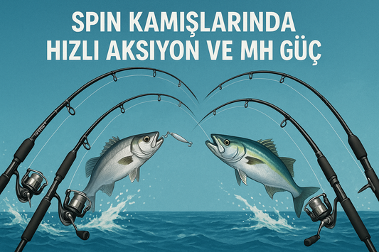Spin Kamışlarında Hızlı Aksiyon ve MH Güç: Levrek ve Lüfer Avının Sırrı