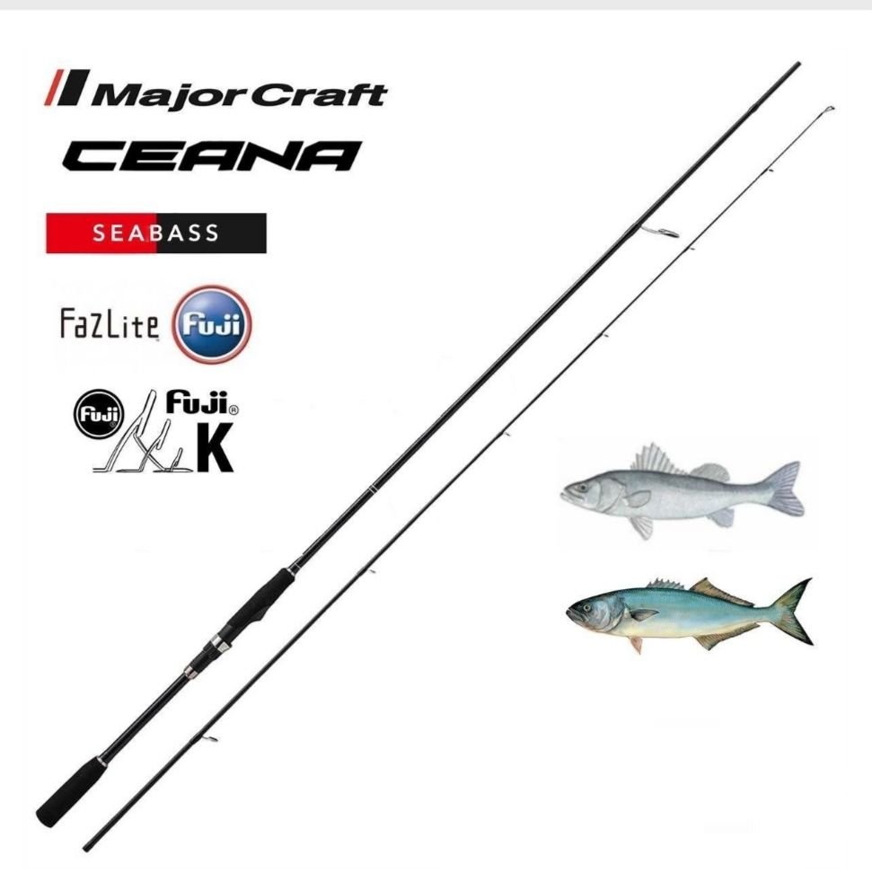 MAJOR CRAFT CEANA CNS-802H SPIN KAMIŞI 243CM 15-60GR